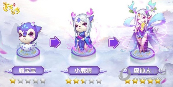 道友请留步宠物解析