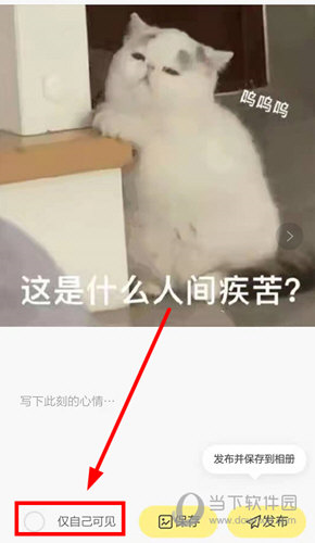 黄油相机