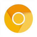Chrome Canary(谷歌浏览器金丝雀版) V121.0.6164.0 安卓版